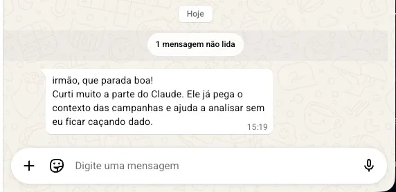Mensagem sobre usar Claude para analisar campanhas